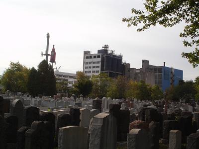 crowded graves in the shadow of the old Pabst Brewery